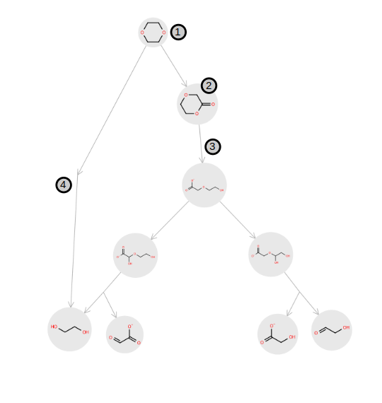Example of an enviPath pathway